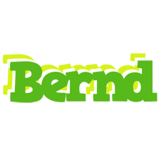 Bernd picnic logo