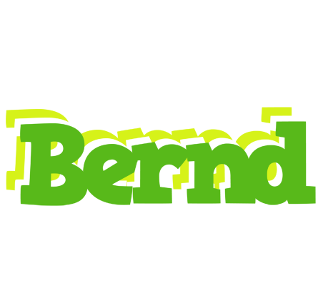 Bernd picnic logo