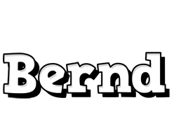 Bernd snowing logo