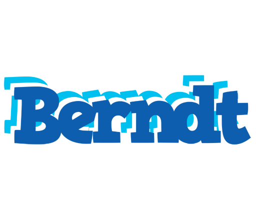 Berndt business logo