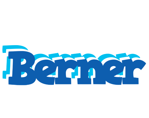 Berner business logo