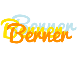 Berner energy logo