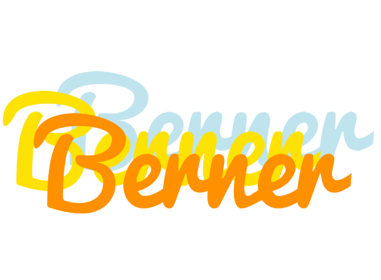 Berner energy logo