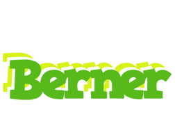 Berner picnic logo