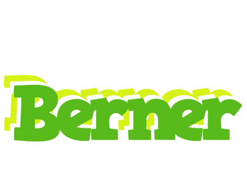 Berner picnic logo