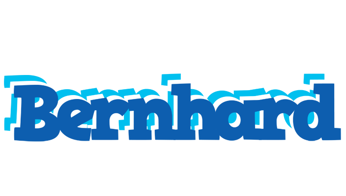 Bernhard business logo