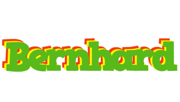 Bernhard crocodile logo