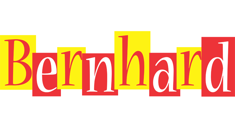 Bernhard errors logo