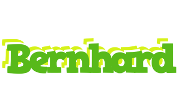 Bernhard picnic logo