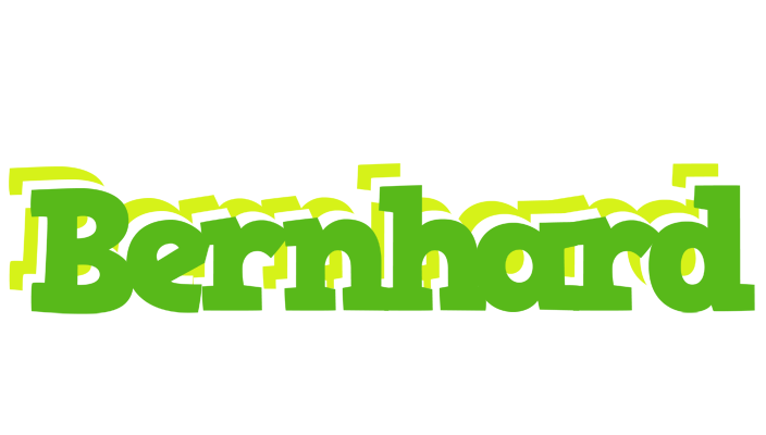 Bernhard picnic logo