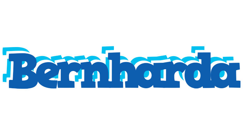 Bernharda business logo