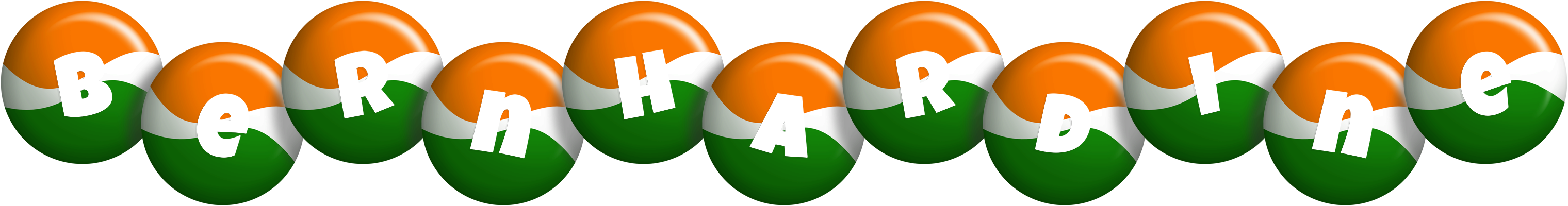 Bernhardine india logo