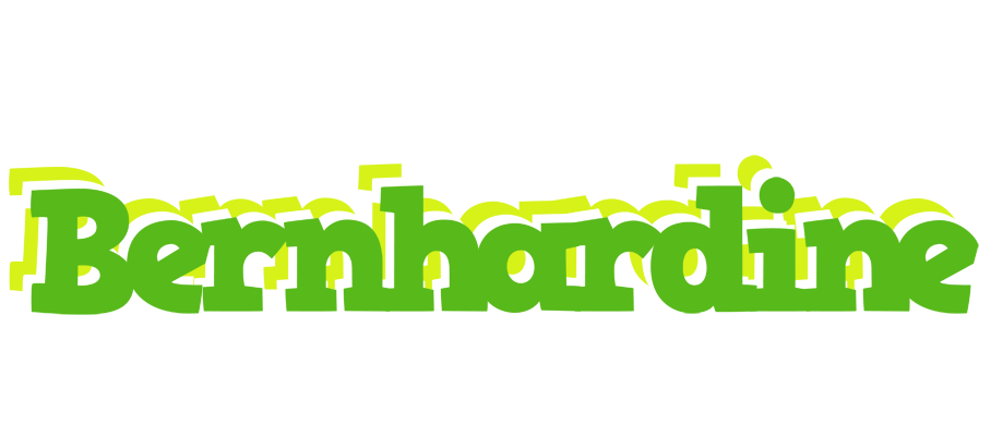 Bernhardine picnic logo
