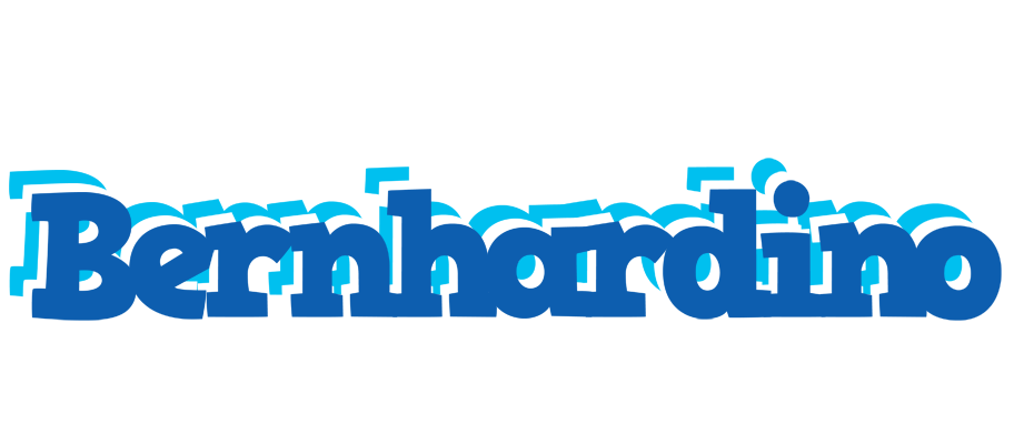 Bernhardino business logo