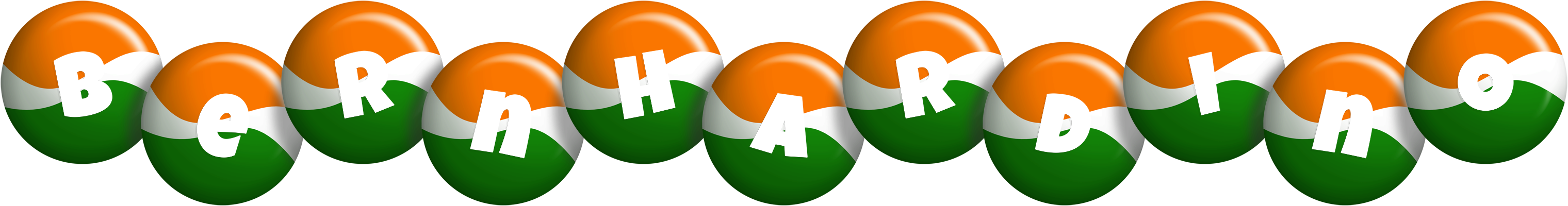 Bernhardino india logo