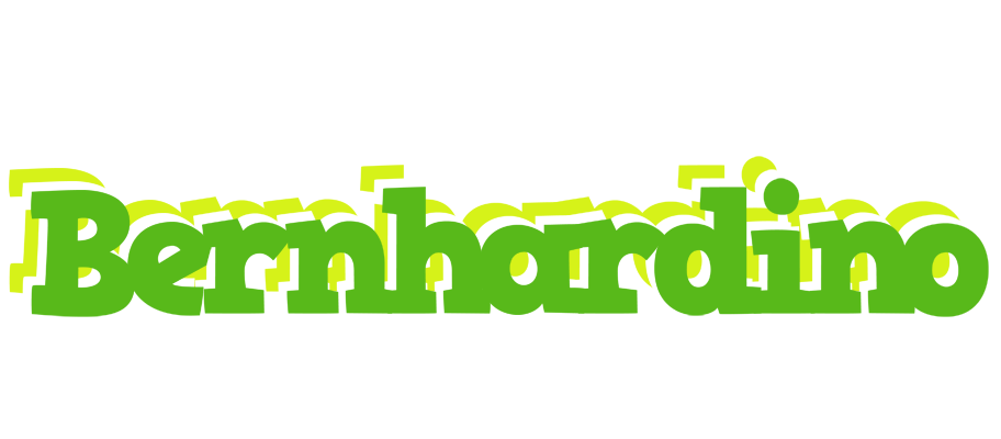 Bernhardino picnic logo