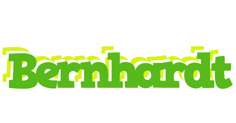 Bernhardt picnic logo