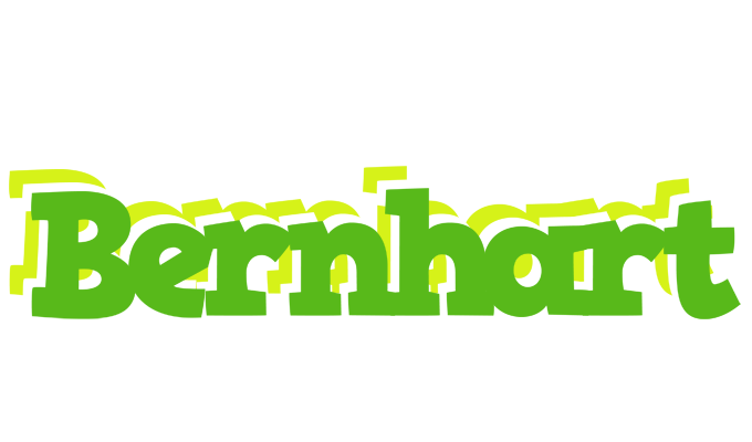 Bernhart picnic logo