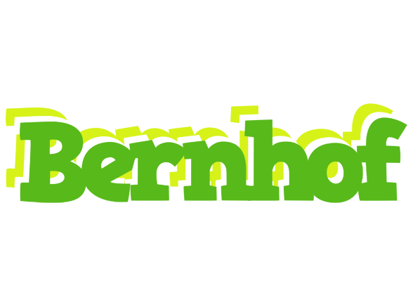 Bernhof picnic logo