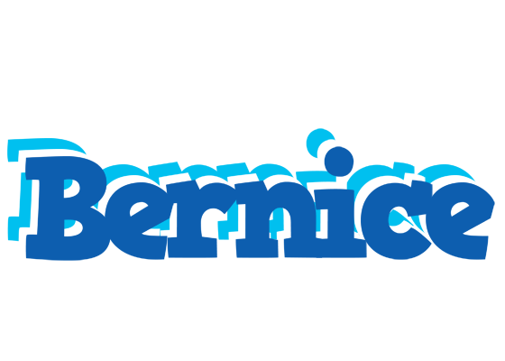 Bernice business logo