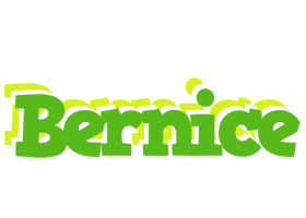 Bernice picnic logo