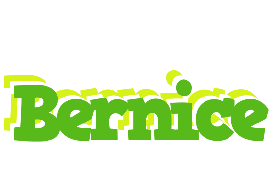 Bernice picnic logo