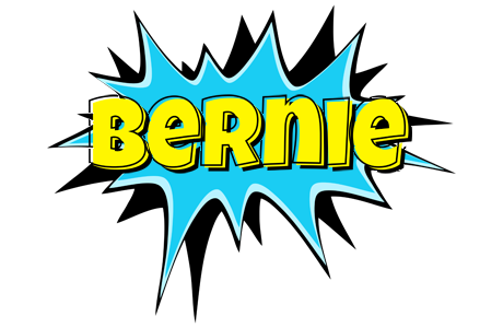 Bernie amazing logo