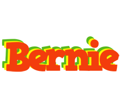 Bernie bbq logo