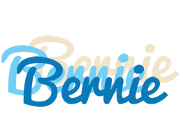 Bernie breeze logo