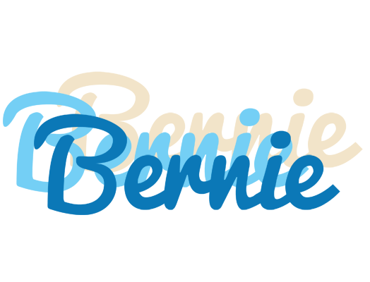 Bernie breeze logo