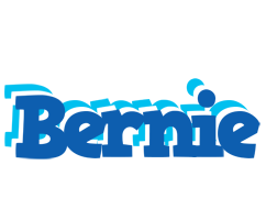 Bernie business logo