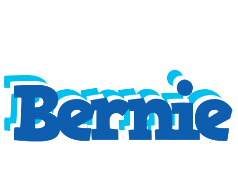 Bernie business logo