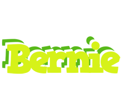 Bernie citrus logo