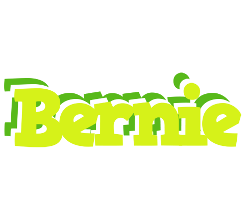 Bernie citrus logo