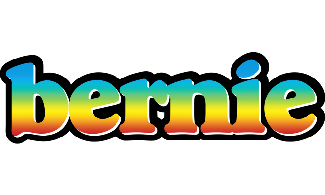 Bernie color logo