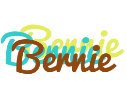 Bernie cupcake logo