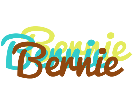 Bernie cupcake logo