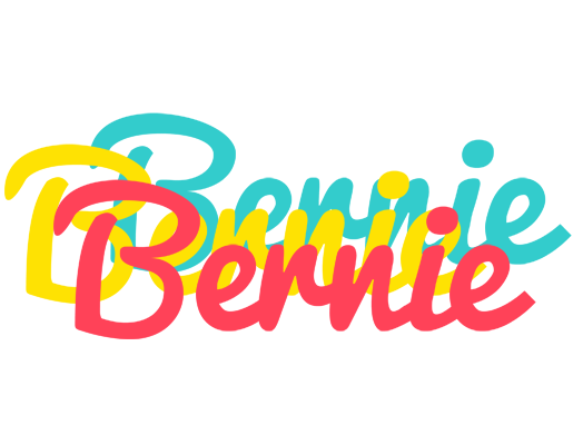 Bernie disco logo
