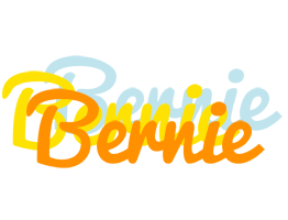 Bernie energy logo