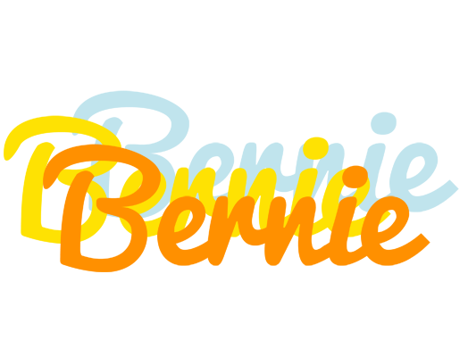 Bernie energy logo