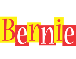 Bernie errors logo