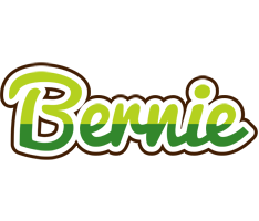 Bernie golfing logo