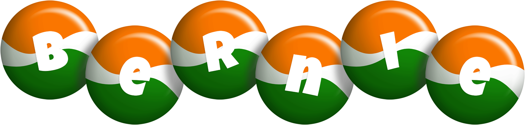 Bernie india logo