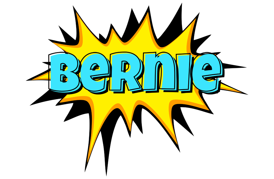 Bernie indycar logo
