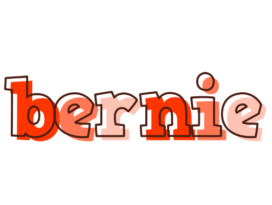 Bernie paint logo