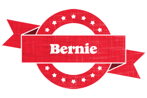 Bernie passion logo