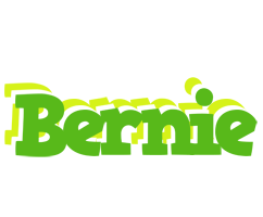 Bernie picnic logo