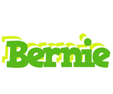 Bernie picnic logo