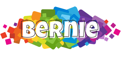Bernie pixels logo