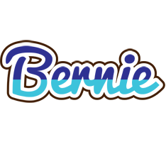 Bernie raining logo